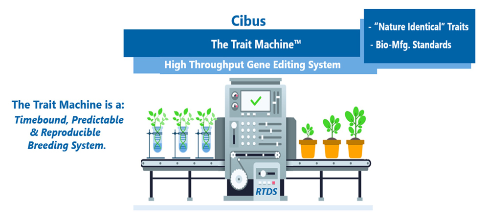 The Trait Machine