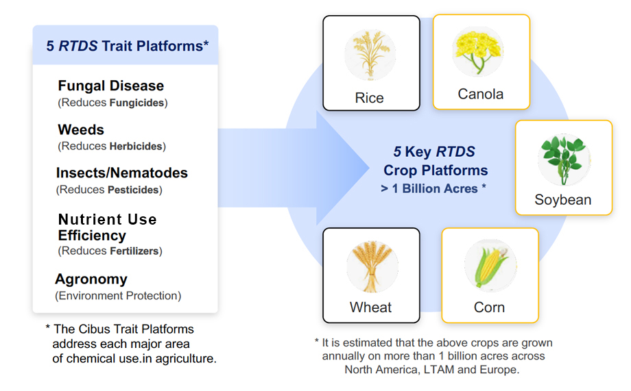 Five RTDS Trait Platforms